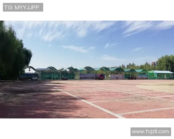 景泰县实验小学足球比赛精彩直播回放全程回顾与精彩瞬间集锦