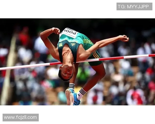 男子跳高世界纪录的最新数据及其背后的传奇故事 男子跳高世界纪录的最新数据及其背后的传奇故事